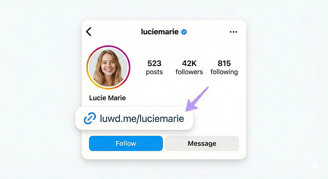 Instagram bio link example